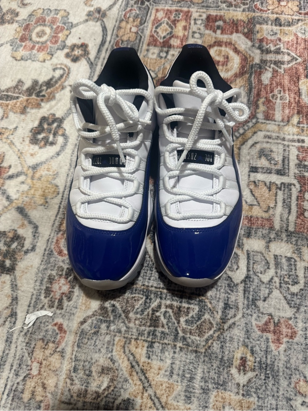 Jordan 11 Low ‘Concord Sketch” - Picture 5 of 6